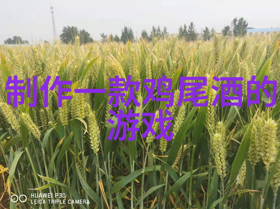 8月份旅游最适合的城市-夏日风情探索全球最佳8月度旅行目的地
