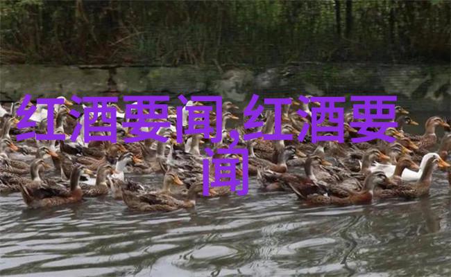在宁静的自然之中佳美娜Carmenere与猫品种价格列表交相辉映