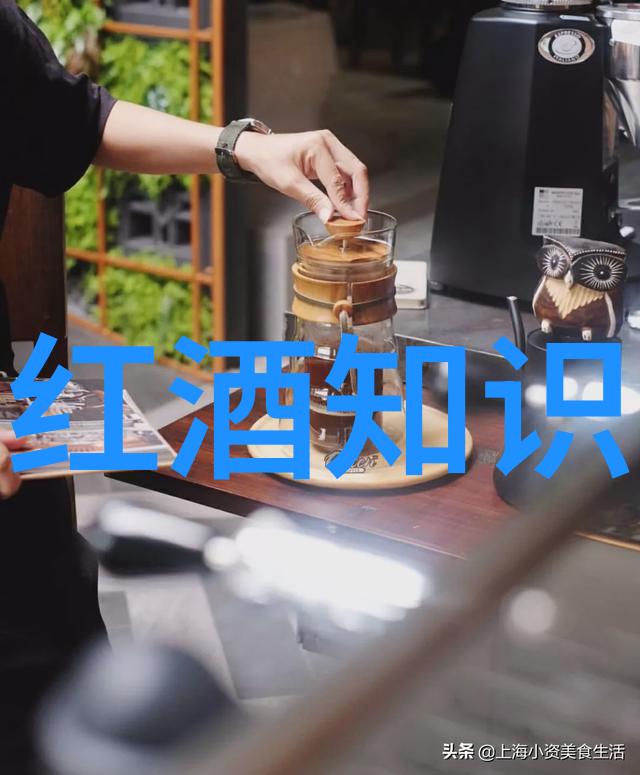 乌龟的亲密接触揭秘蹭扇贝视频背后的奇妙动物行为