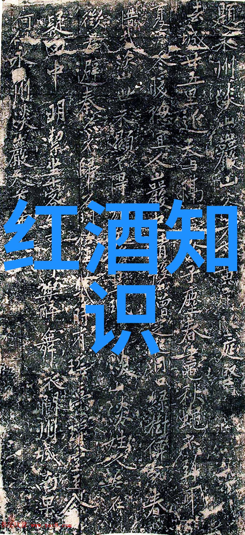 时光倒流的故事编织者探索历史小说中的叙事技巧