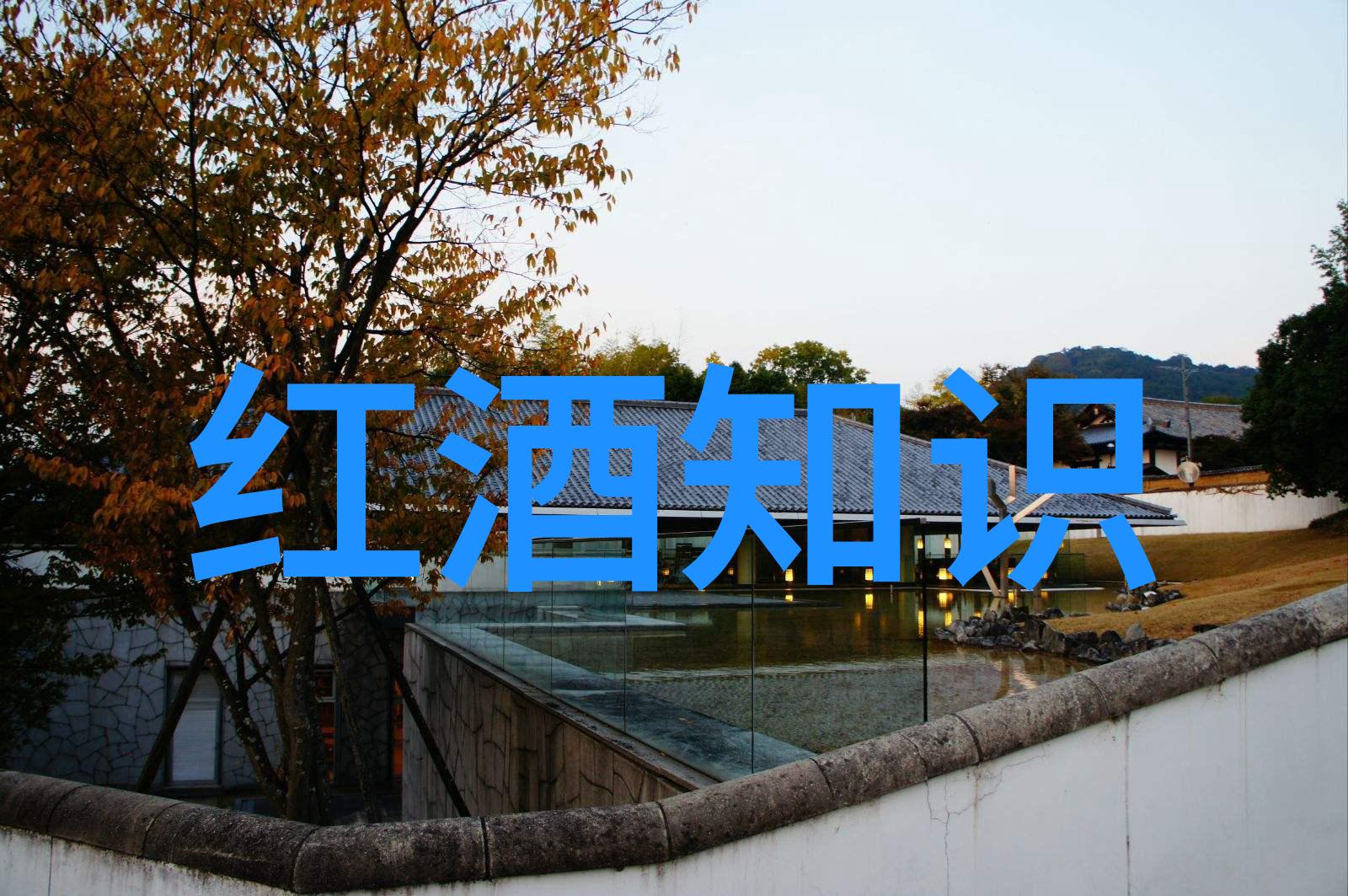 上海二次元周边店推荐-探秘沪上最火的二次元商品在哪里找