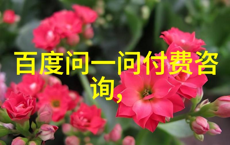 上海周边城市旅游 - 探索沪沿线秘境上海周边城市的旅行奇遇
