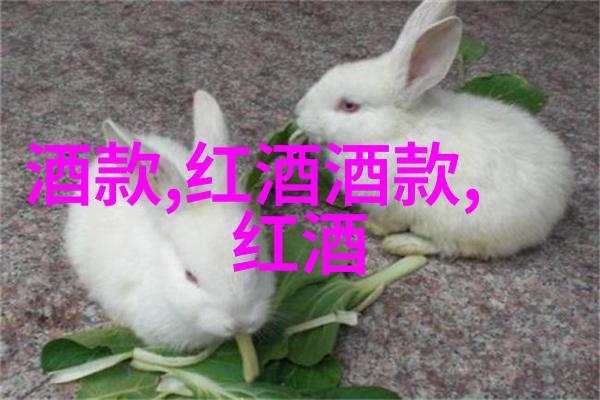 手机截图存储地点探秘一窥智能生活中的数字宝藏