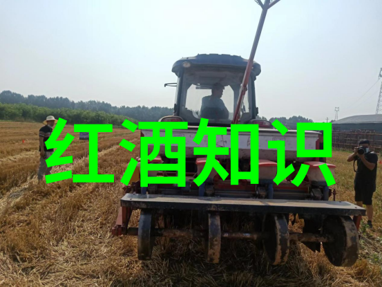 成都一天一日游去哪里最好我在成都的一天从锦里到武侯祠堂的悠然时光