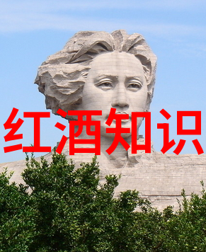 红酒文化网我在红酒文化网上的那些冒险从初学者到小专家