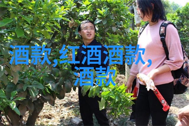 品味全球探索世界各地的红酒产区