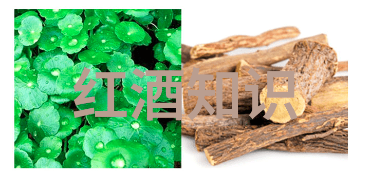 百度网页版入口你的搜索之门