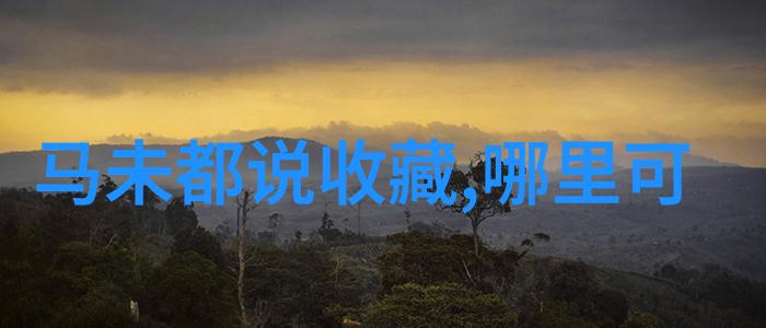 圆明园的辉煌与悲剧一个帝制中国的文化遗产