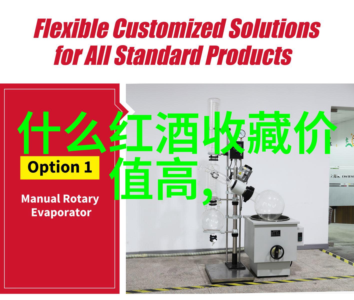探索猫界的多样性全球知名猫品种图片大全集