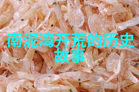 中国新疆XXXXXL17学生 - 新疆校园里的文化融合与友谊纽带