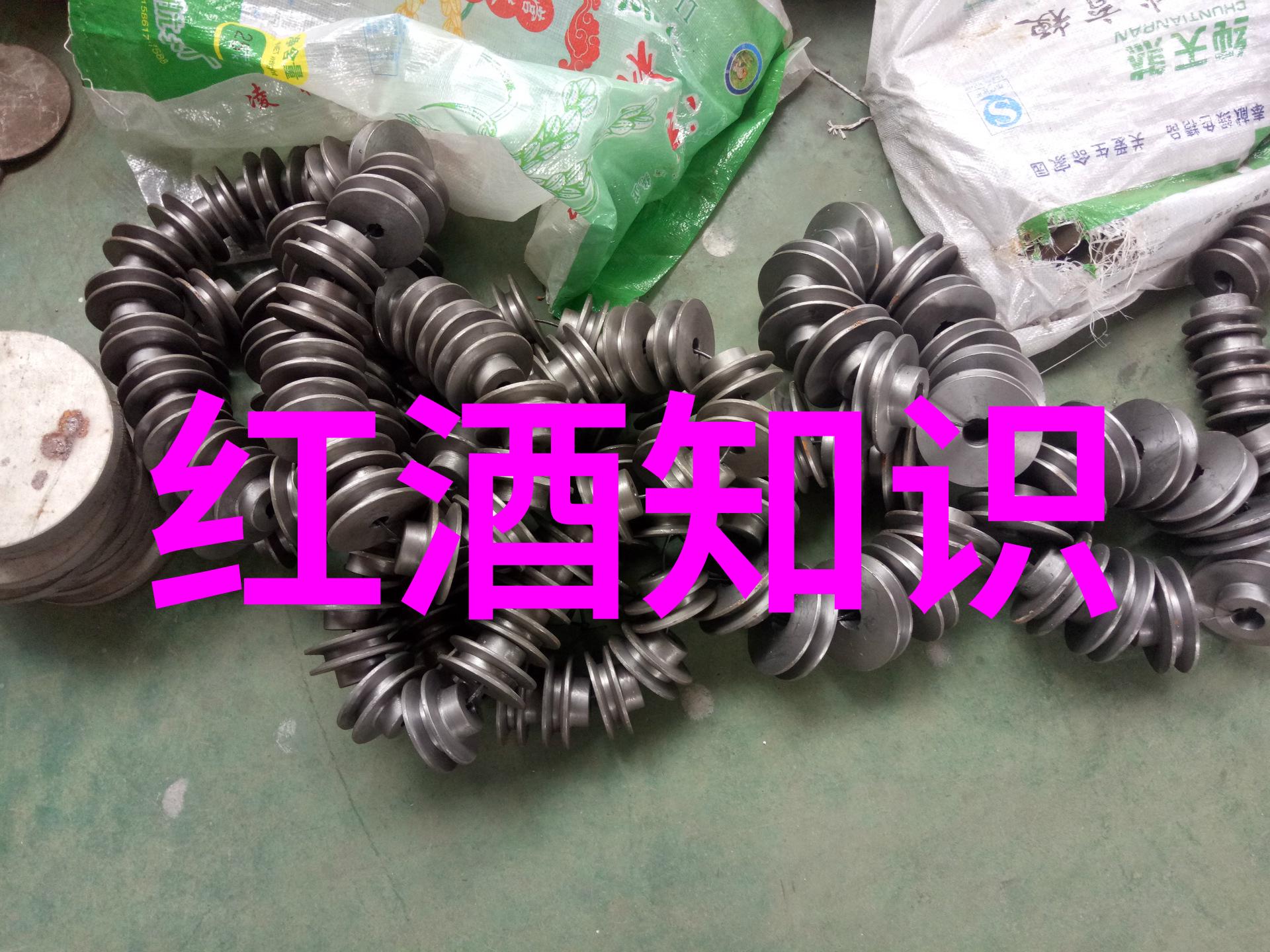 全球猫咪爱好者必备指南揭秘最受欢迎品种排名图解与价格详情