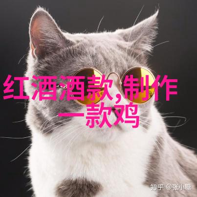 隆河丘产区葡萄酒品质卓越的隆河丘地区葡萄酒