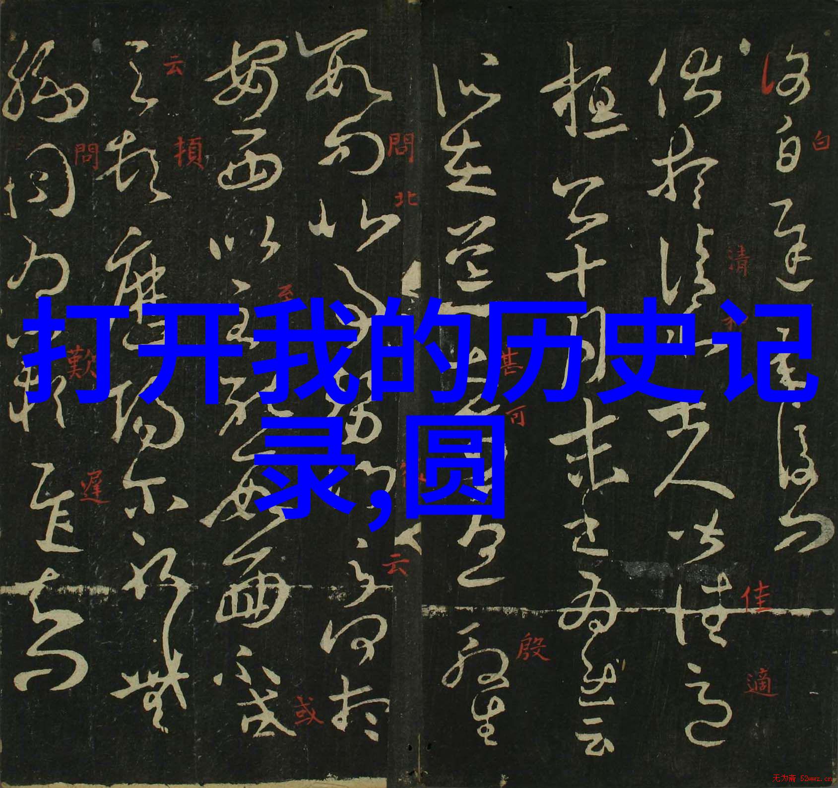 温暖的猫咪探索与它们共度时光的图片世界