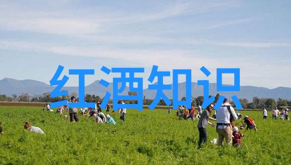 精美人物图片高清4年逆袭成世界葡萄酒大师的Mark Pygott兴趣是最好的导师