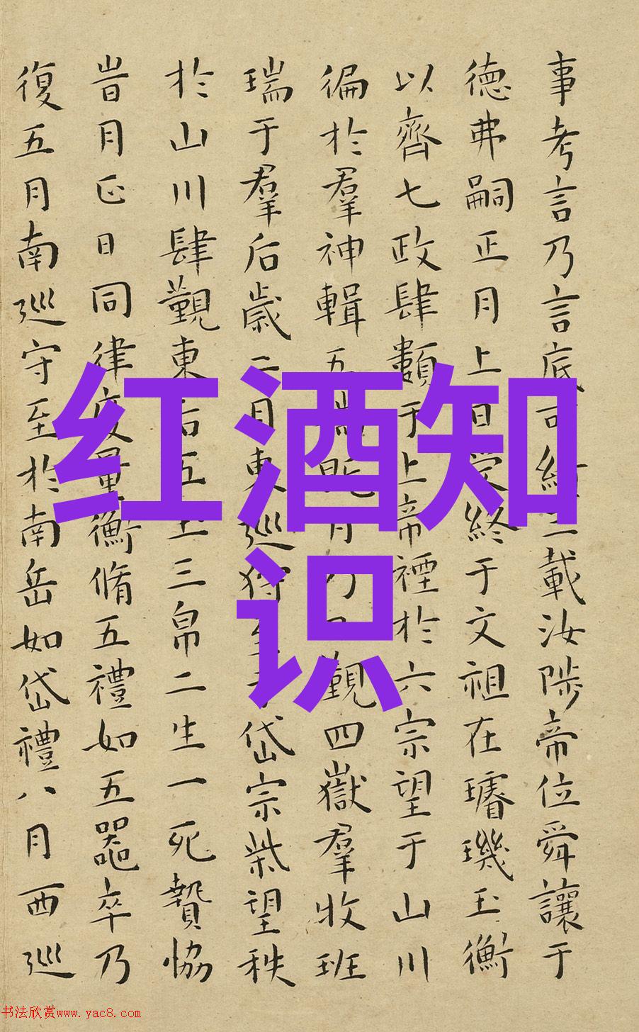 白玫瑰庄园南星山斑马酒坊