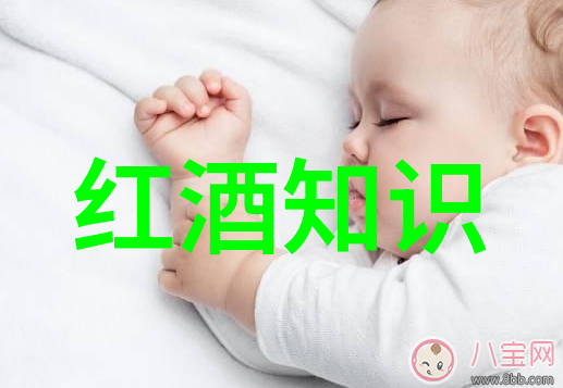 法国最有名的两个葡萄酒产地我去探访了巴黎附近的香槟和波尔多体验了真正的法国葡萄酒之旅