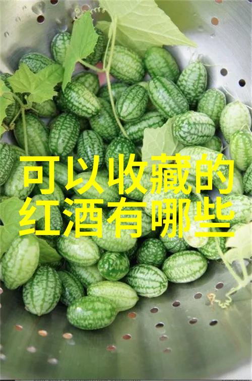 红酒的魅力与文化内涵探究