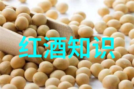 市场之脉算法之韵探索那一只指数基金的律动