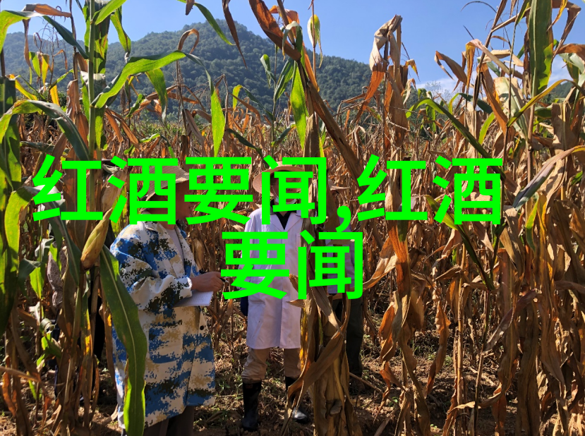 猫咪的宠儿灵动名字集锦