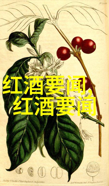 碧水庄园之梦幻与现实