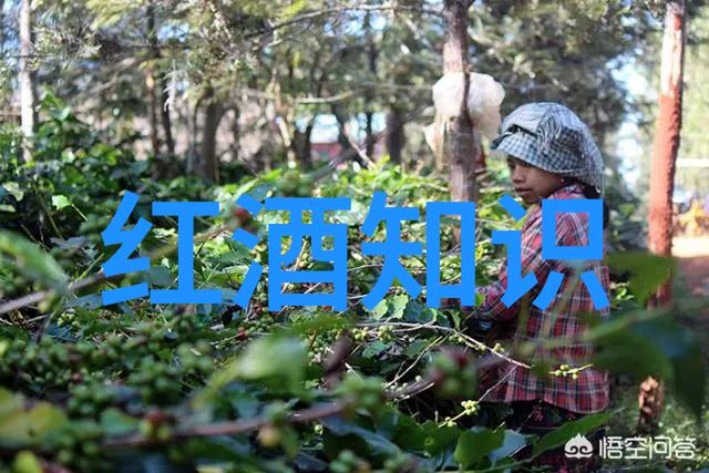 探索周边奇迹邻近风光一览
