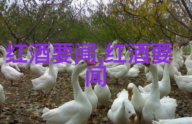 葡萄酒之旅从地图到梦境品味世界的醉人秘密