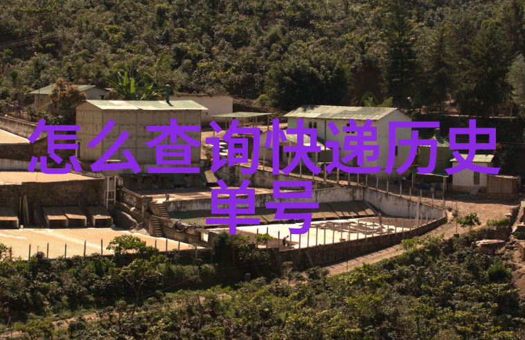全国钱币收藏博览会 - 银河中的珍品探索中国钱币收藏界的璀璨篇章