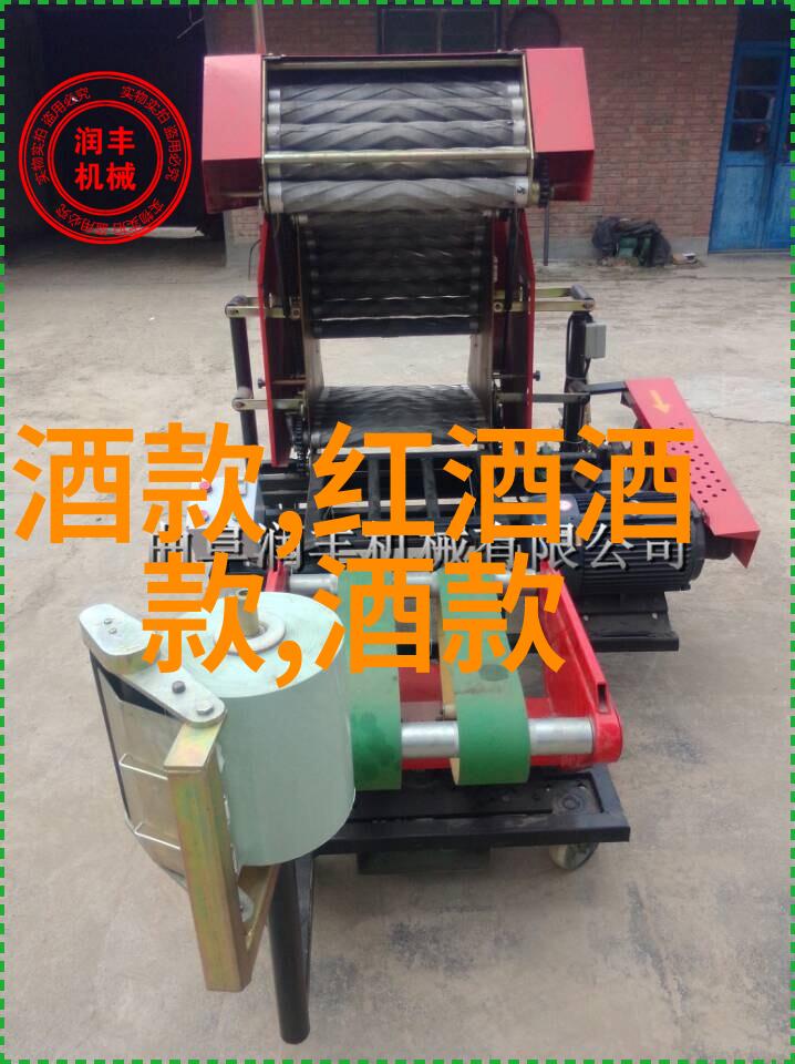 全色猫咪的魅力展现柔软的毛发与灵动的眼神