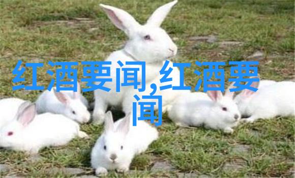 猫的品种大冒险从波斯到缤纷揭秘每只猫的超级特异能力