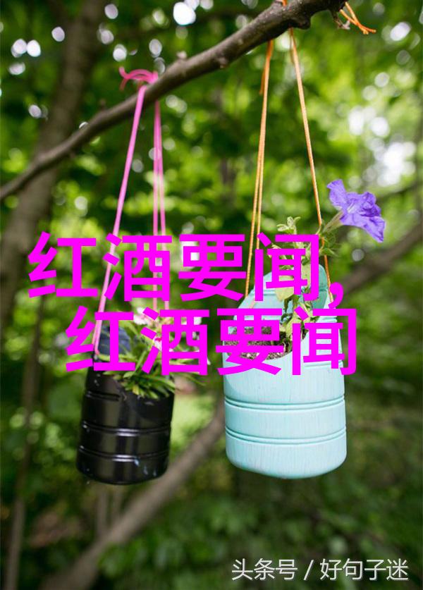 蒙特雷生产商首次踏足标志性中央海岸展开全球投资之旅下载爱收藏的每一刻都将成为历史的见证