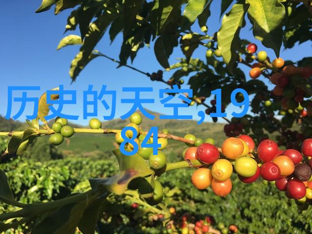 消失的时光寻找那些深藏的视频秘密
