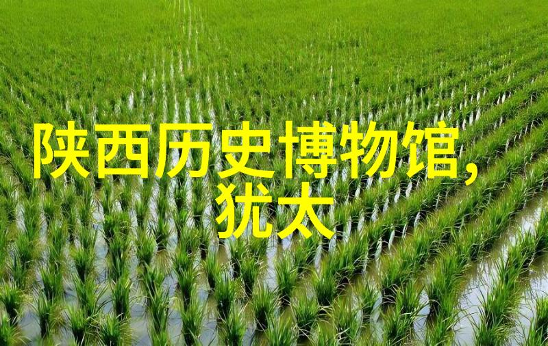 舒适一日游体验最靠家的城市风光