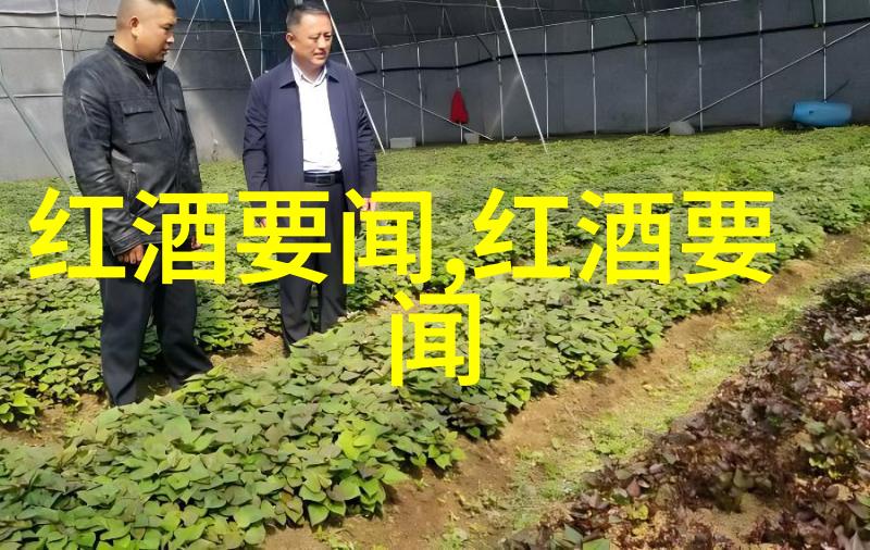 西班牙酒庄重振本土葡萄华夏收藏网地摊交易登录品味时尚的葡萄酒新篇章