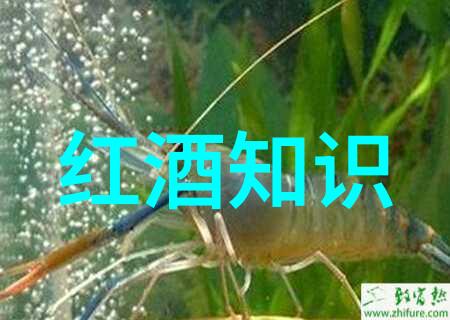 在默尔索产区人物追寻蒙哈榭的足迹