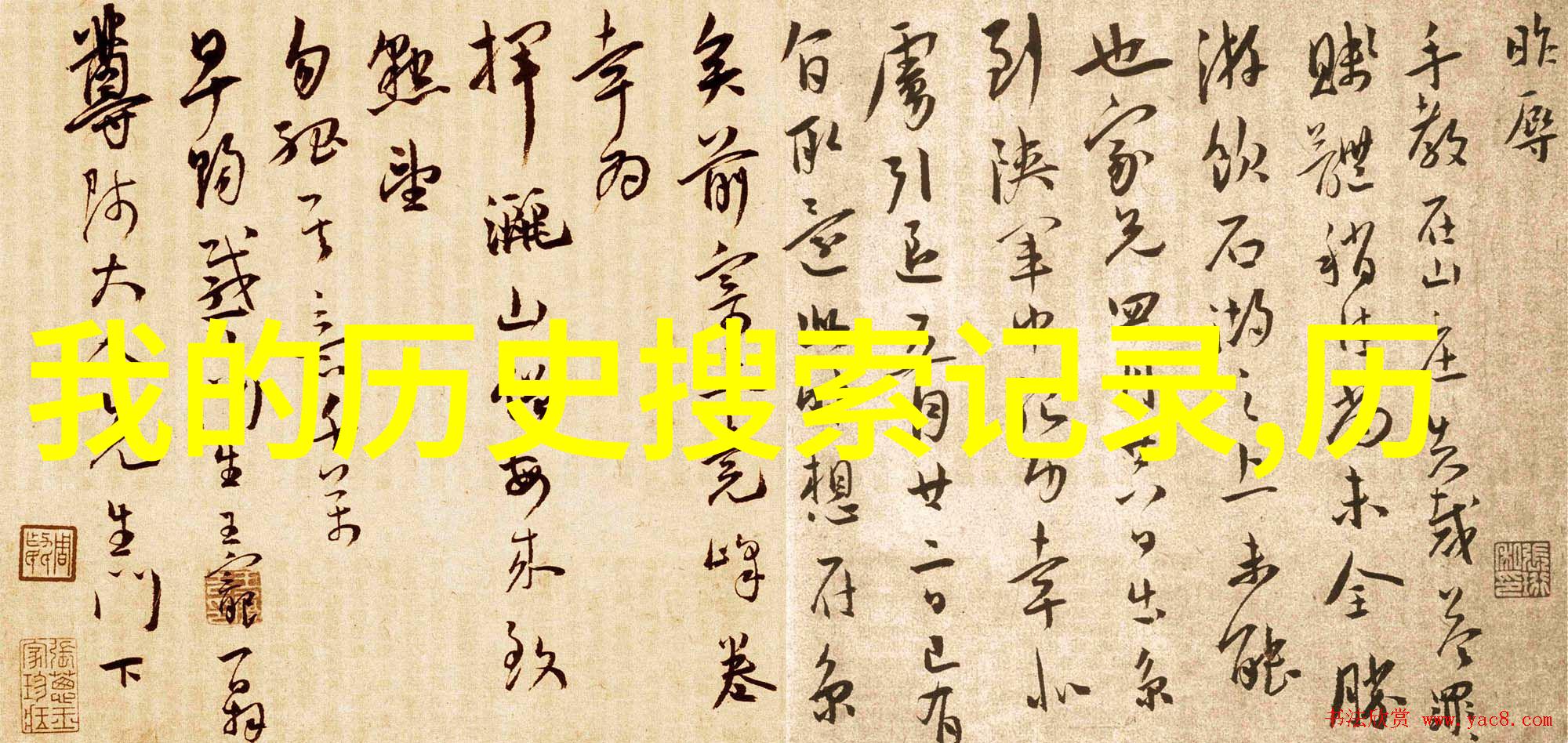 犬类探索四足猎影的瑰宝