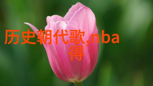 指数基金估值艺术揭秘 NAVPE 比率与市场波动的奥秘