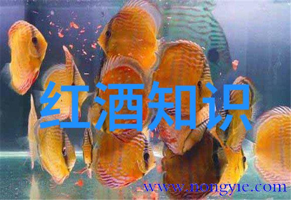 猫有几种品种我跟你说猫咪的变体可多了