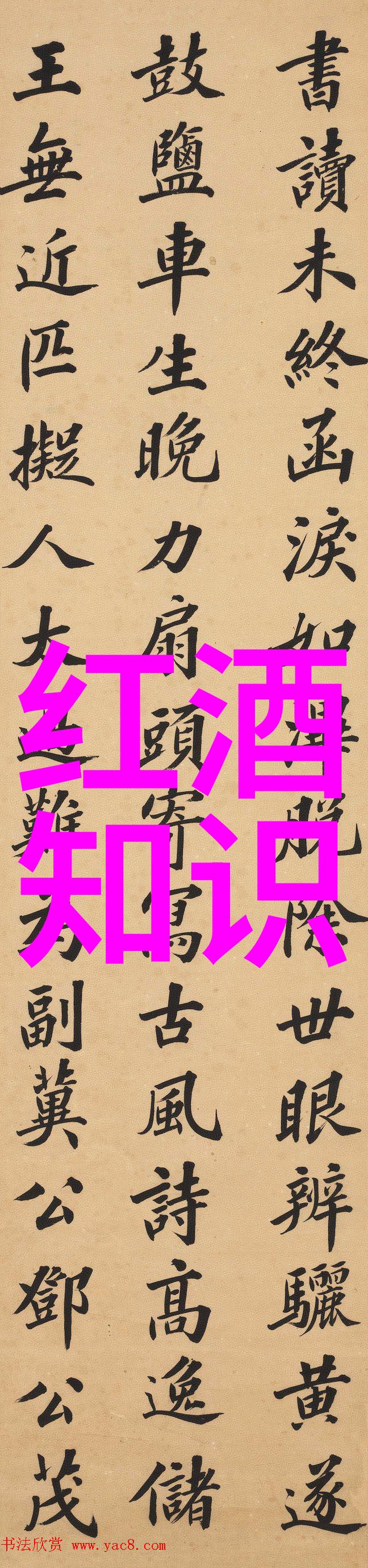 莱茵黑森葡萄酒顶级产区的魅力之地