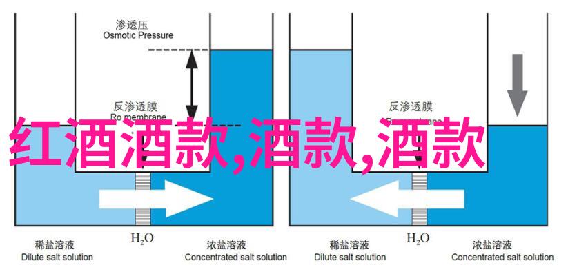 绚彩世界小精灵的日常奇遇