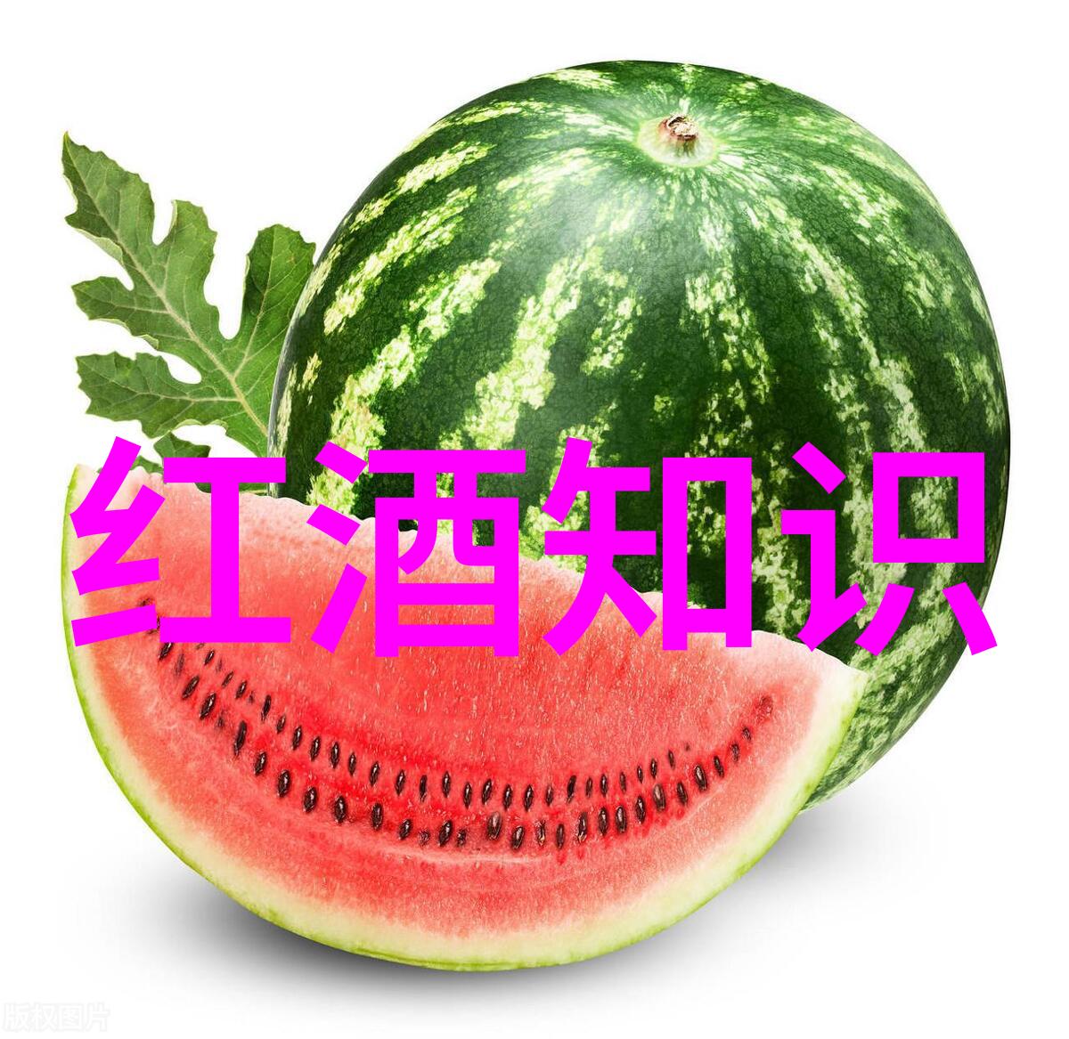太空酿酒的秘密柏图斯葡萄酒售价百万美元收藏视频之谜解锁新篇章