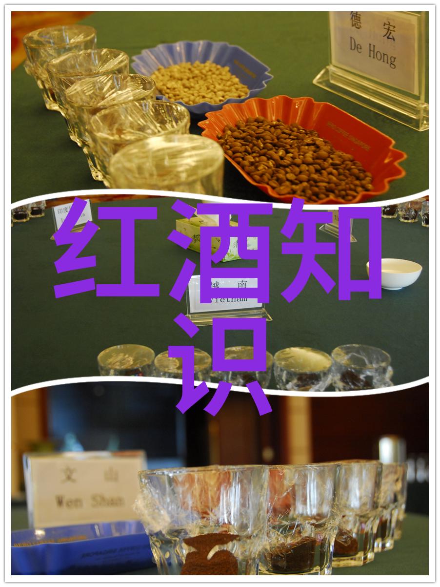 探索我在阿根廷红酒产区的奇妙旅程从最低级到顶级