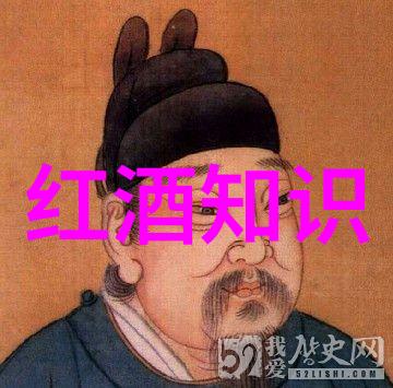 葡萄酒之梦法国五大产区的绚烂篇章