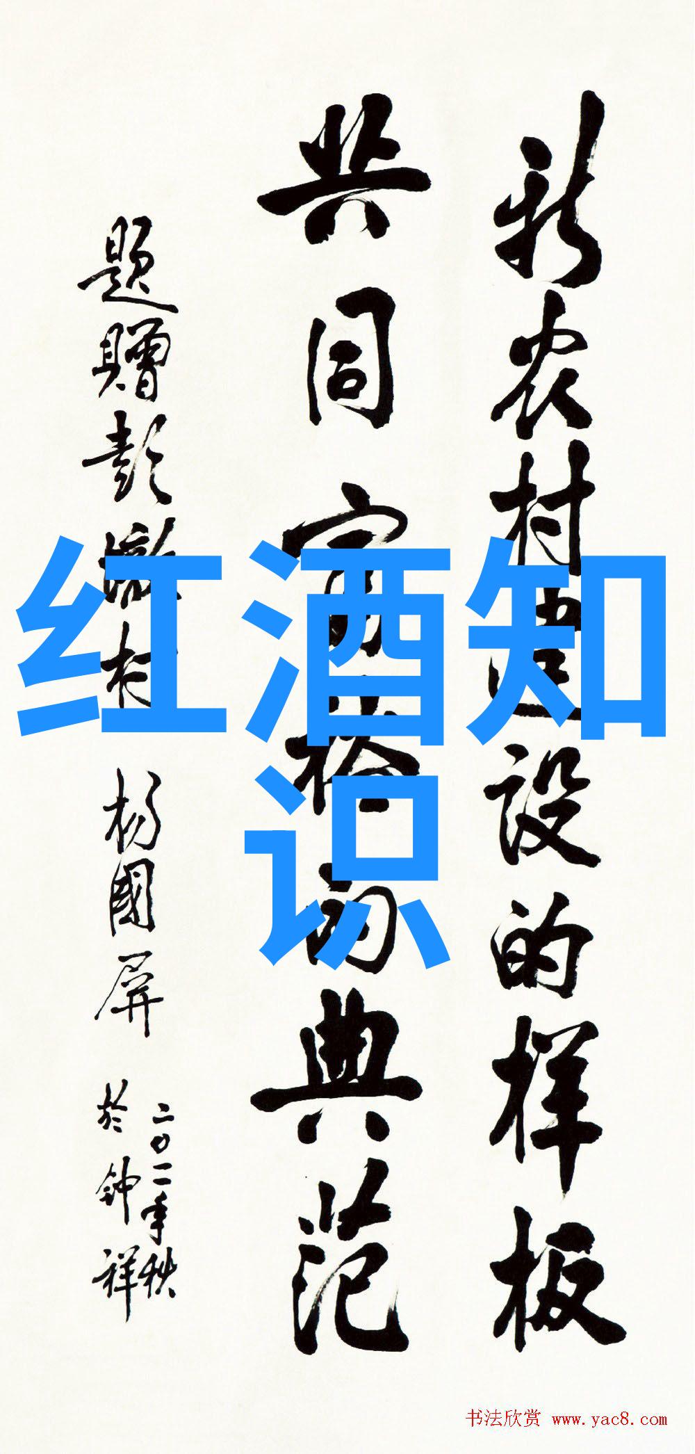 亲密接触如何选择最适合家庭生活的小型或中型猫咪品种