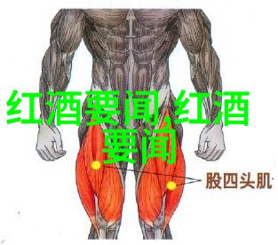 百度知道-精准引领下载百度知道2021最新版的必备指南