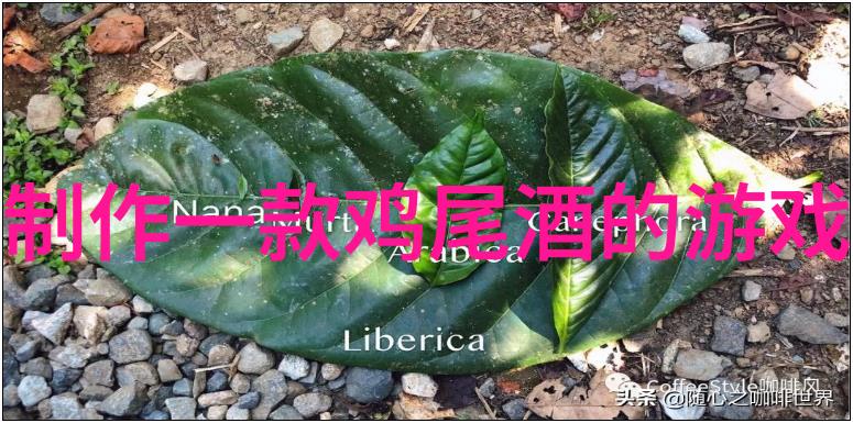 欧洲十大宫殿皇家宅邸的笑话与奇闻录