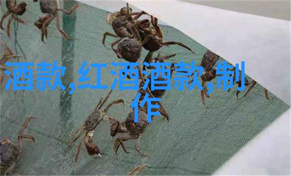 红酒之约手牵手的葡萄园里