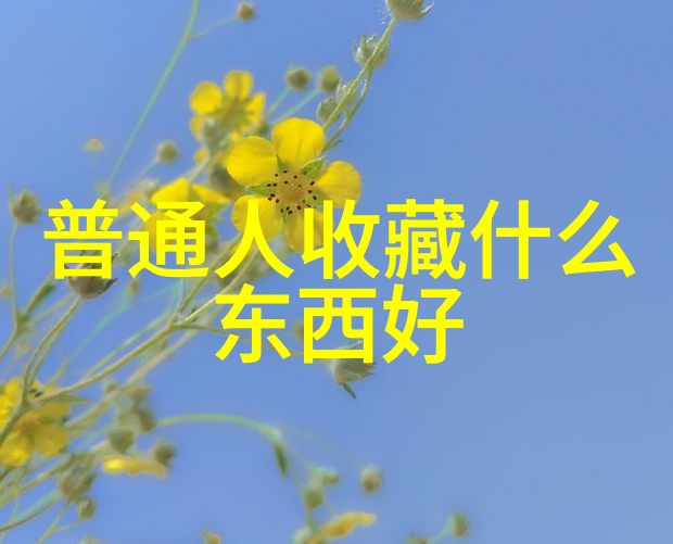 从繁华到宁静揭秘上海近郊那些不为人知的旅行秘密