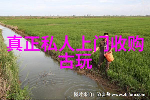 品味时光探索葡萄酒老产区的传统与魅力