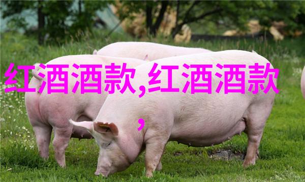 时代楷模人物素材铸就辉煌的坚韧不拔精神