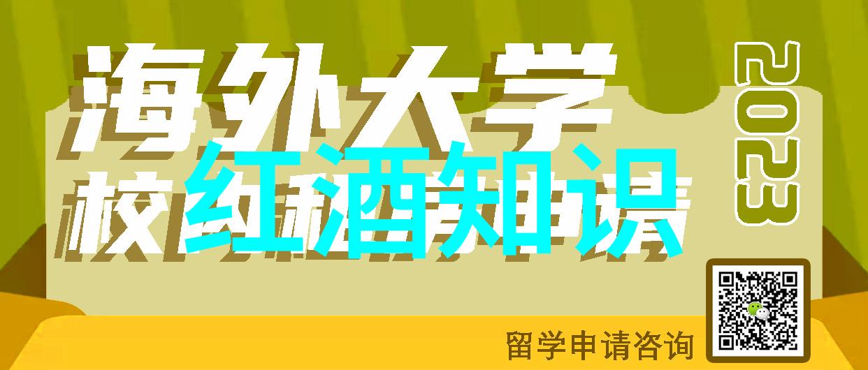 探索阿根廷红酒世界我带你深入阿根廷的葡萄园了解产区与等级的秘密